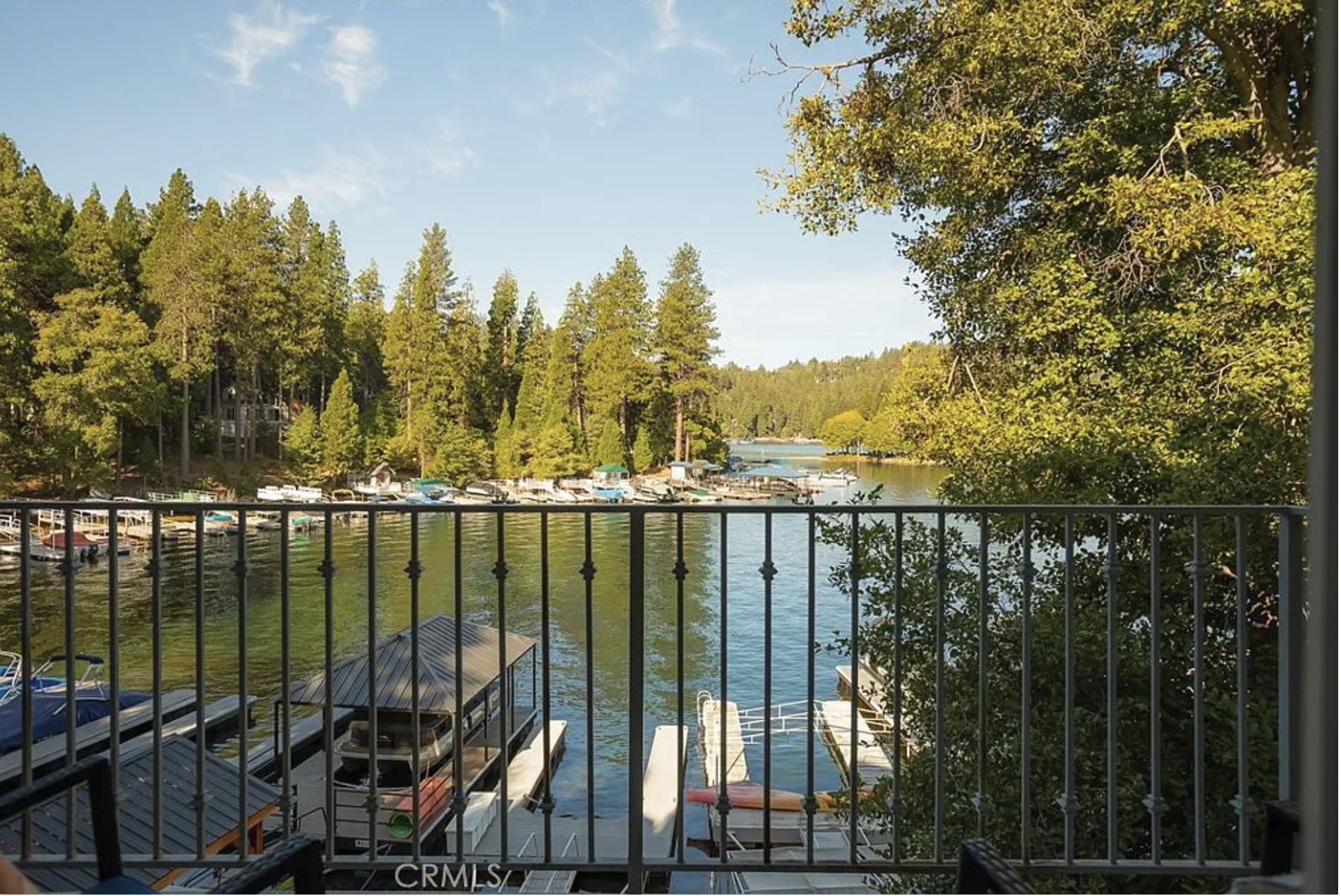 366 Lake Resort property photo 4
