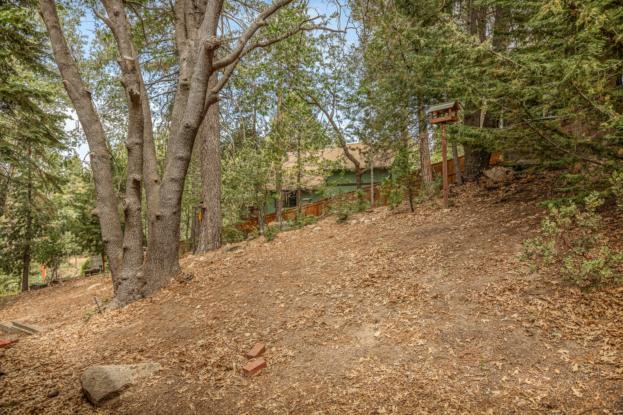 2643 Soutar Drive — Cabin exterior