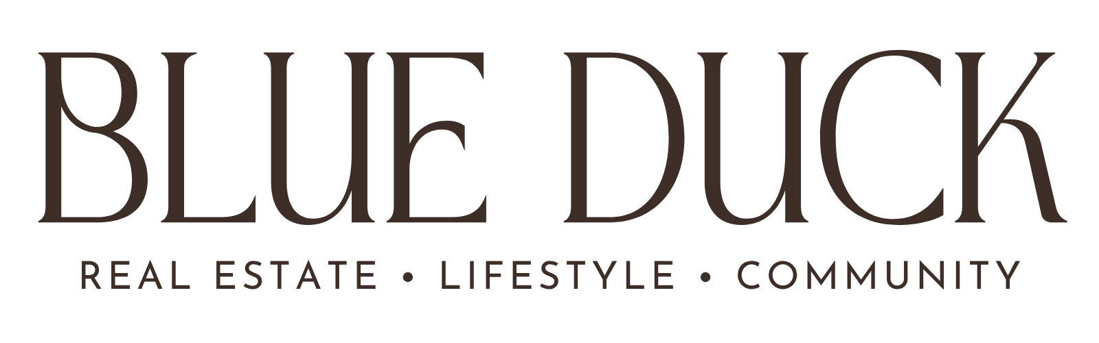 website fixed logo